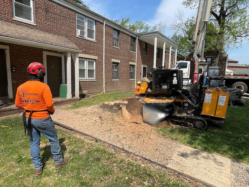 Stump Grinding Services