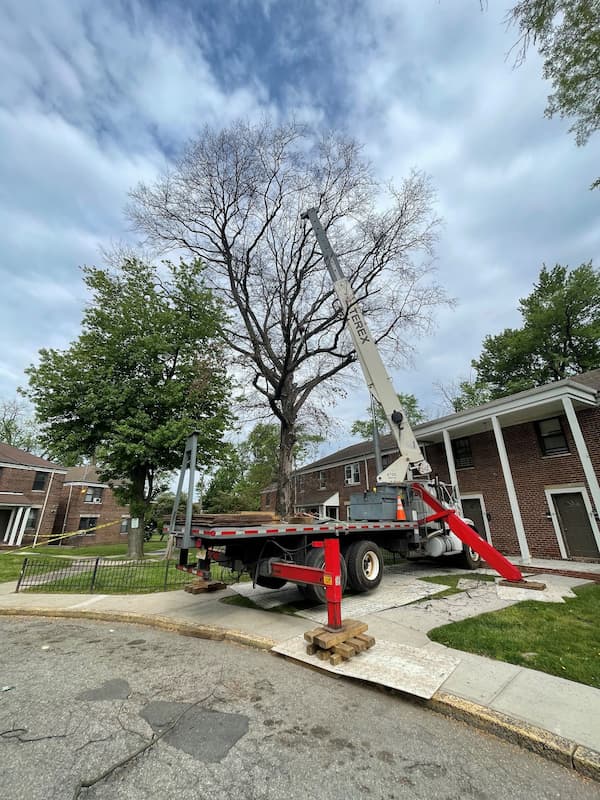 Crane Services