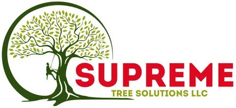 Supreme Tree Solutions LLC 