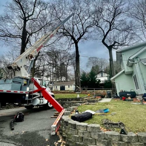 Commercial Tree Services