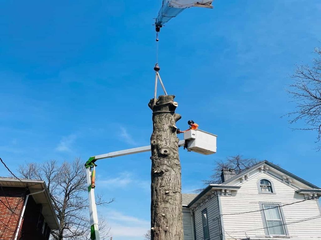 Crane Services