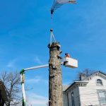 Crane Services