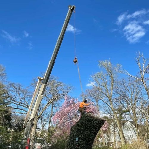 Crane Services