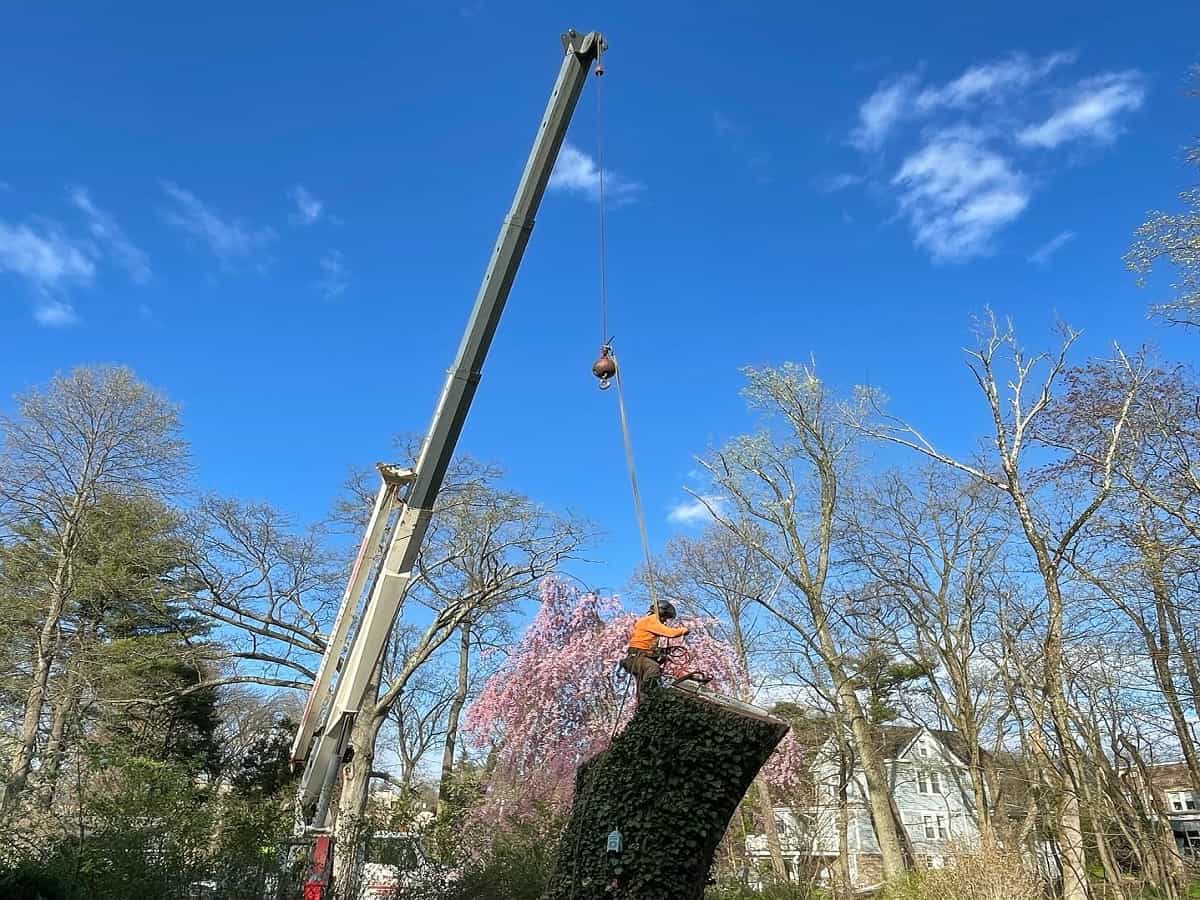 Crane Services