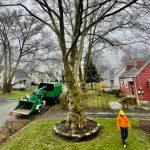 Wood Chipping & Disposal