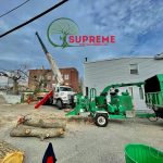 high-quality tree services